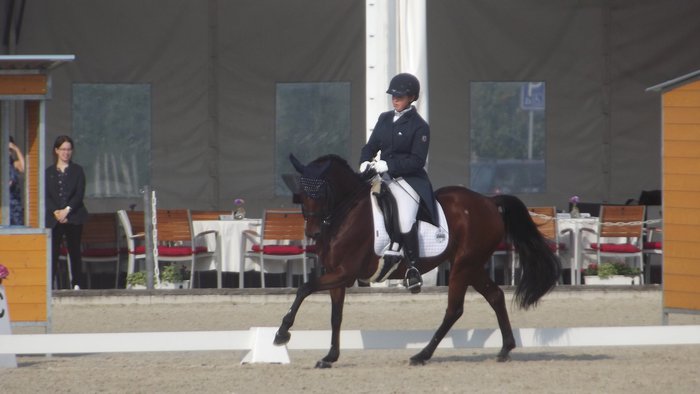 Royal dressage stable z.s.